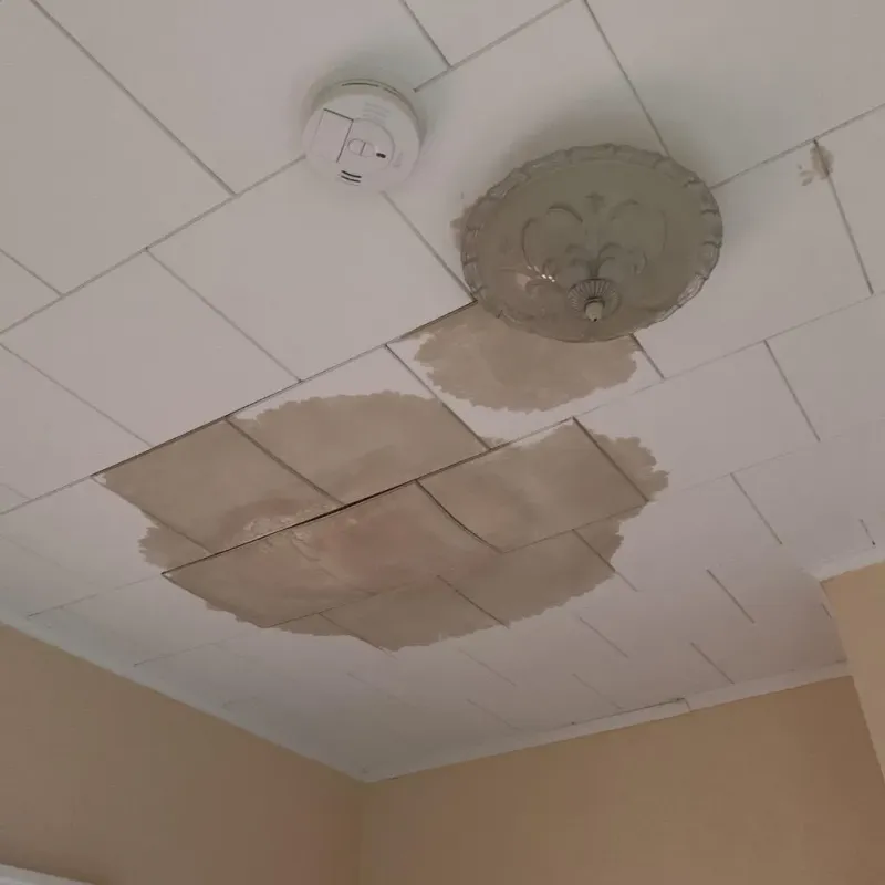 Ceiling Water Damage Repair in Albemarle, NC