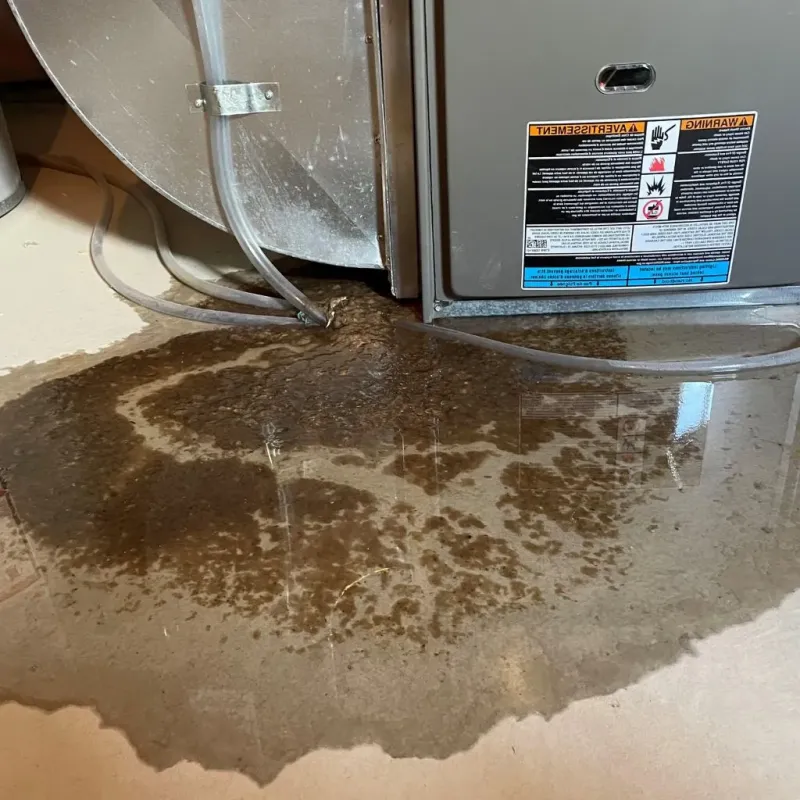 Pipe Burst and Leak Restoration in Albemarle, NC