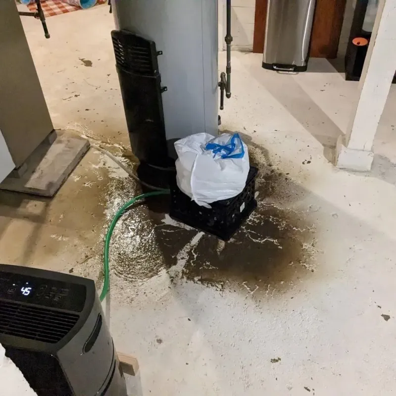 Sewage Backup Cleanup Service in Albemarle, NC